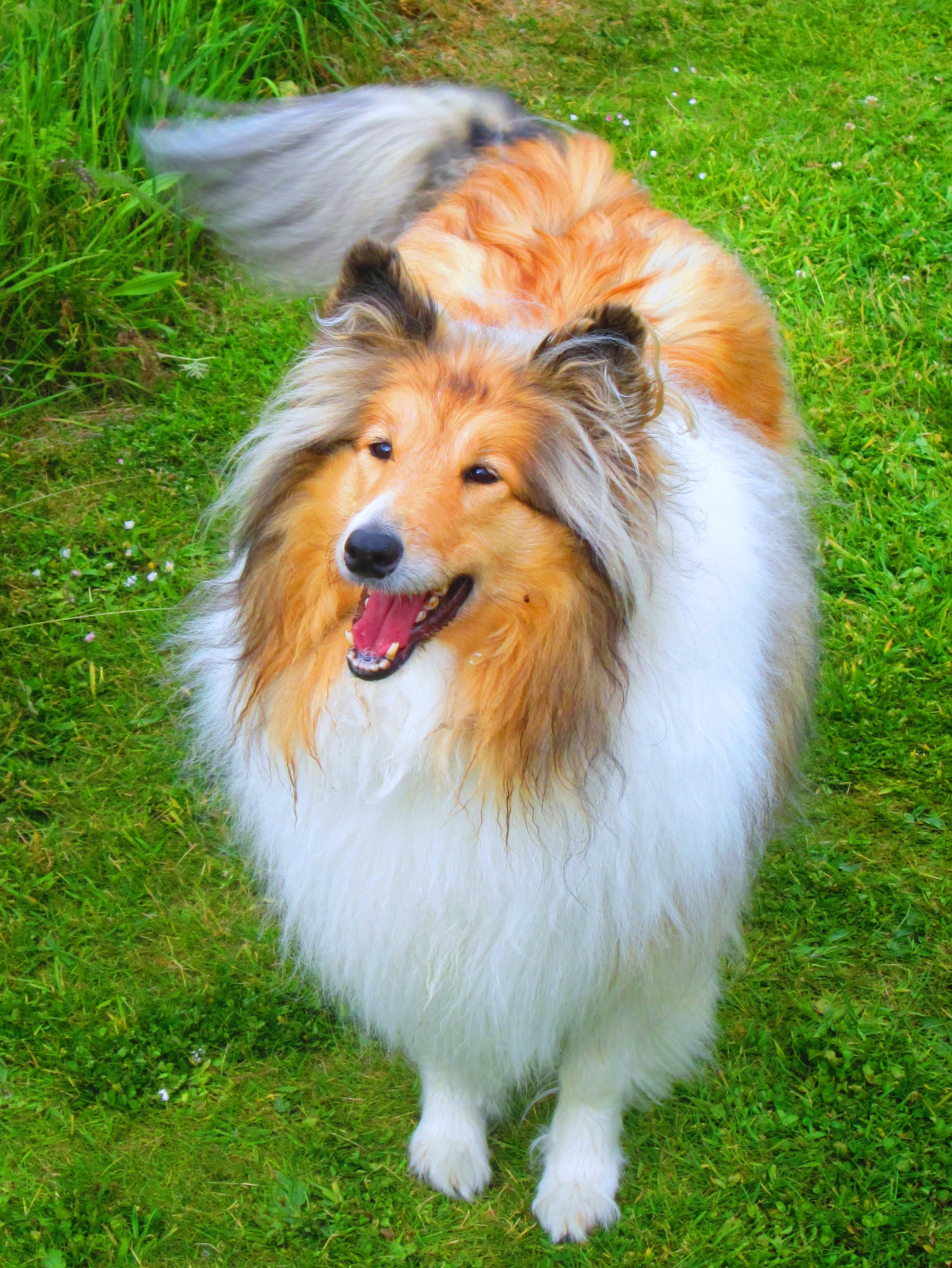 follow me buy Mom's books