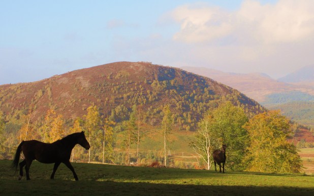 horse-silou-and-hill