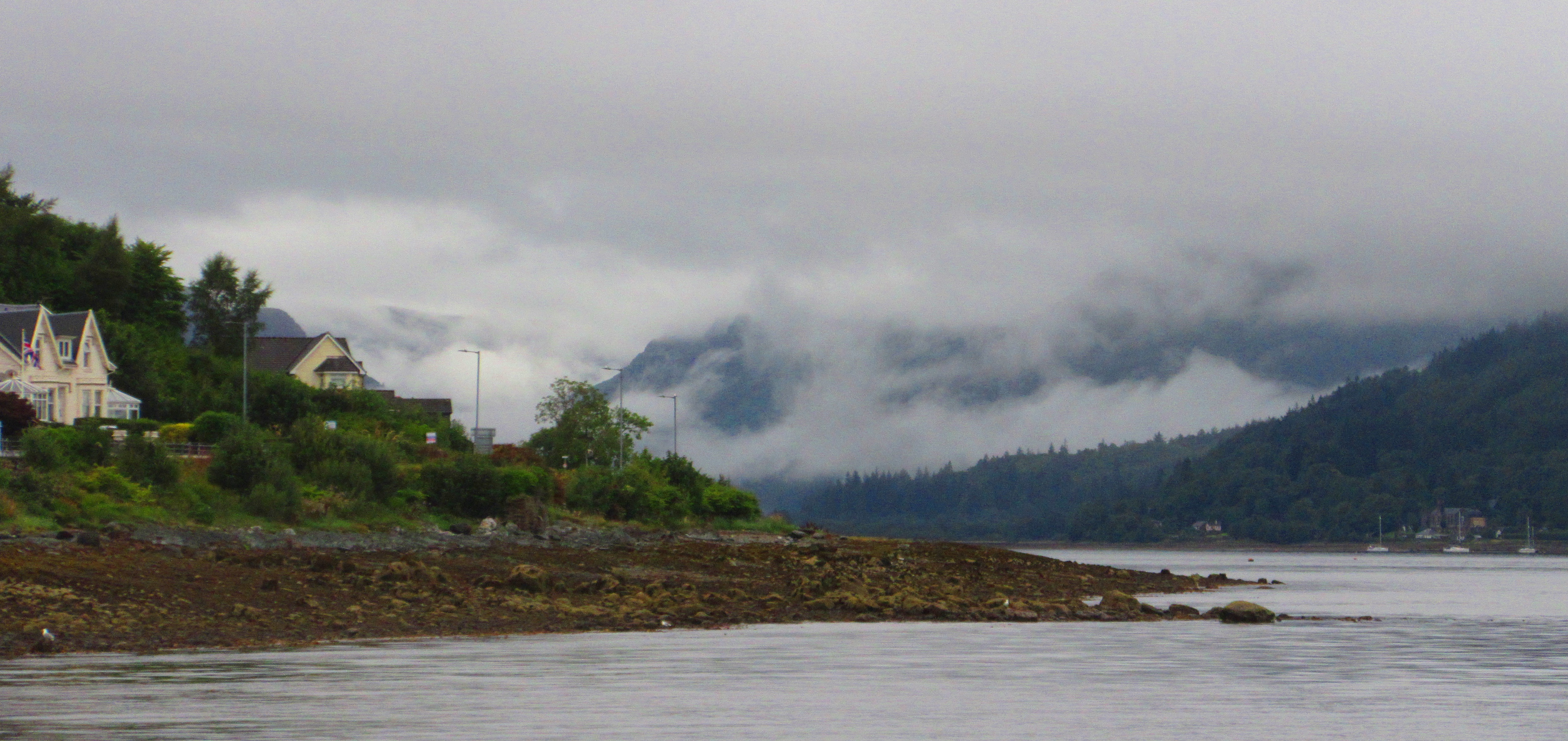 fog from ferry