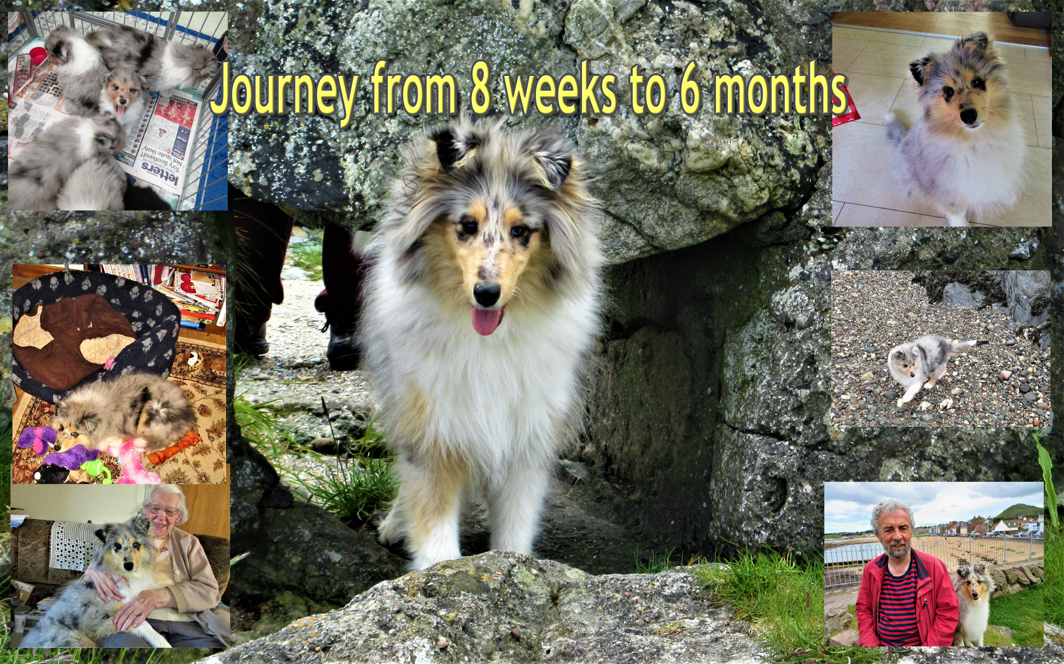 savannah from weeks to months