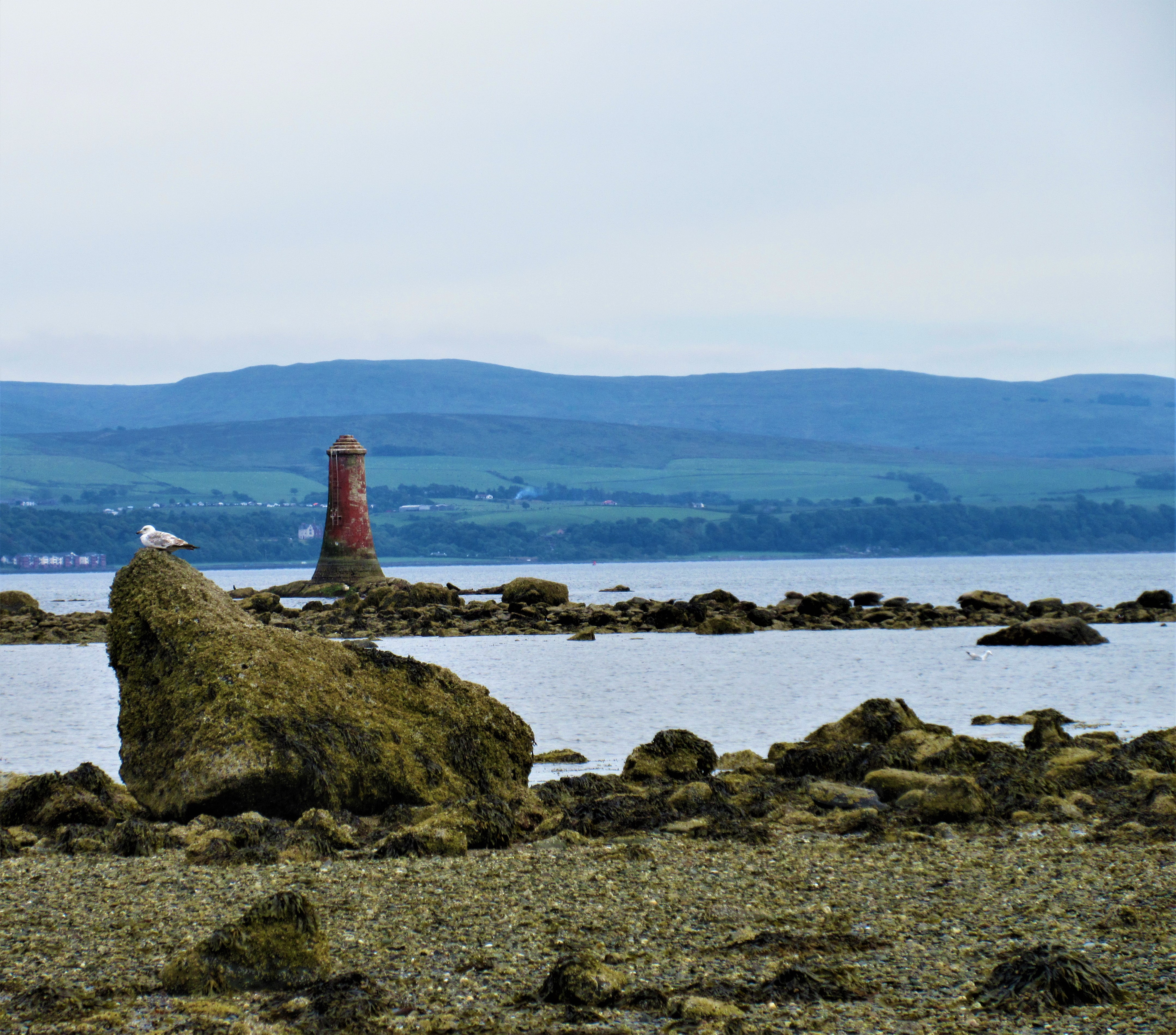 lightouse old innell w big rock
